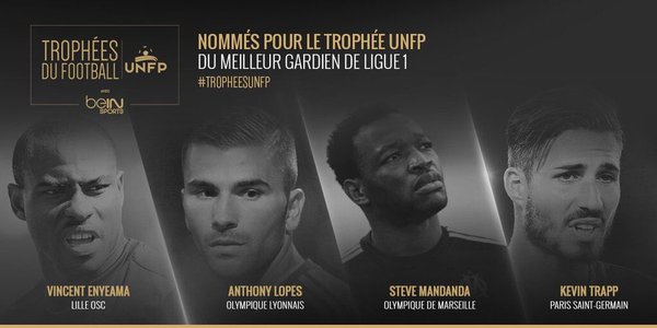 Ligue 1 Goalkeeper of the Year Nominees